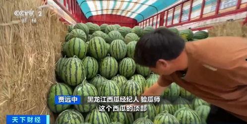 免费吃瓜的平台,畅享娱乐盛宴,轻松解锁精彩瞬间 第2张 免费吃瓜的平台,畅享娱乐盛宴,轻松解锁精彩瞬间 第2张